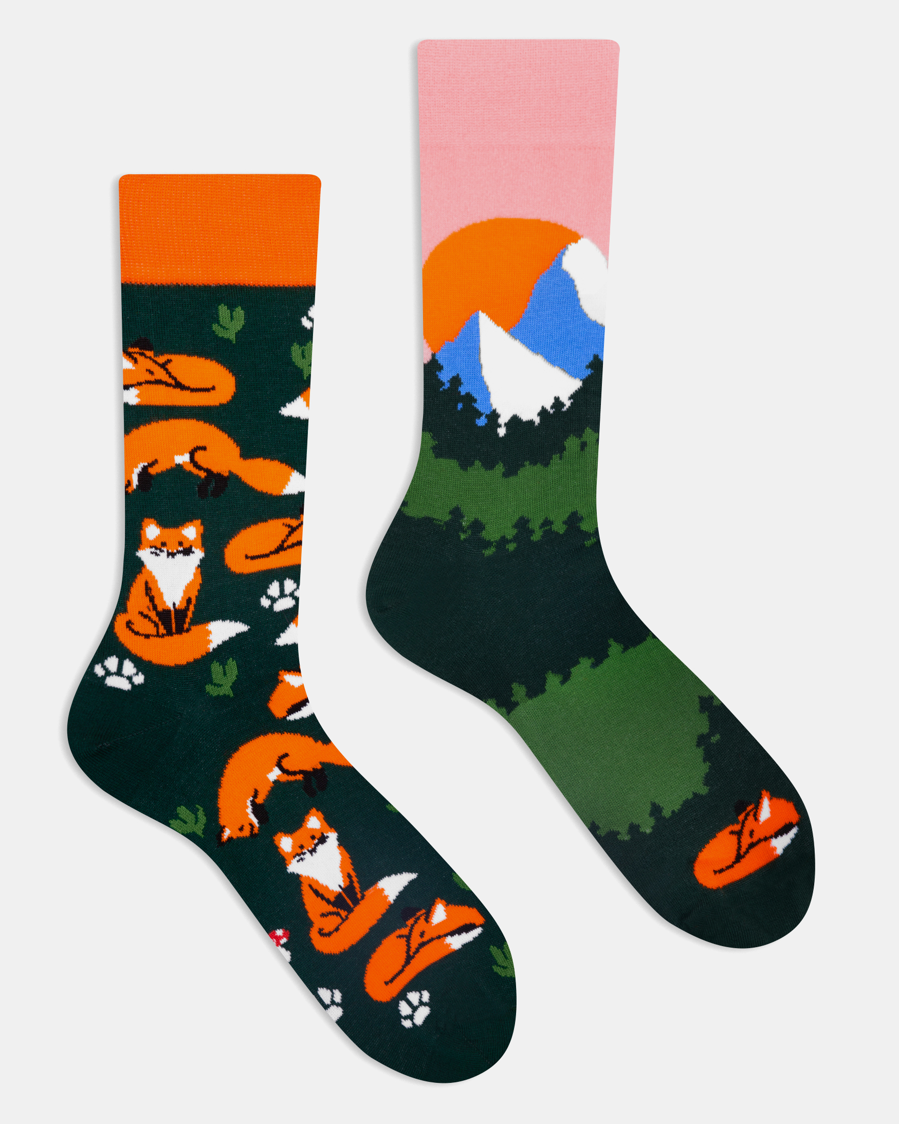 Forest Fox - Image 5